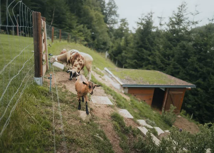 Vakantiepark Natur Resort Jetrichovice